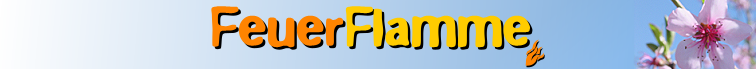logo_ff_su